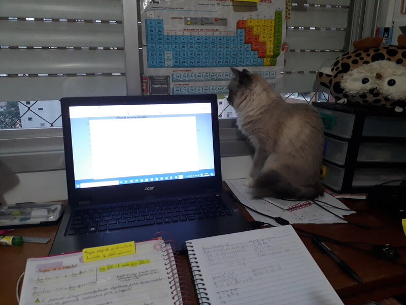 Photo of my room that summs up my vibes pretty well